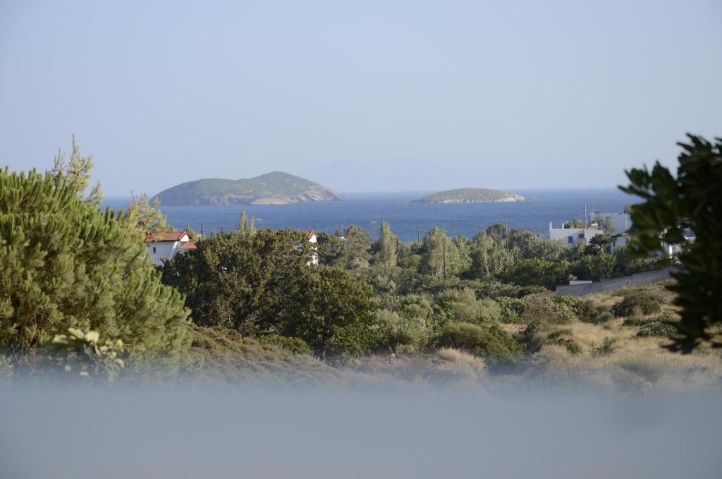 Spanos Apartments Agios Petros  Luaran gambar